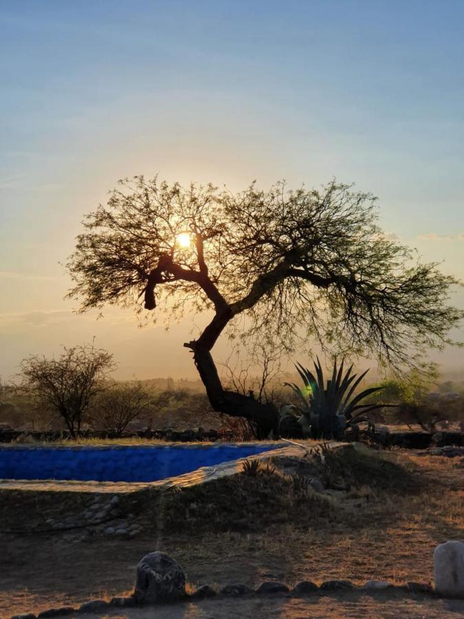 Hotel Texas Cafayate Ngoại thất bức ảnh